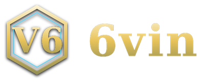 6vin logo